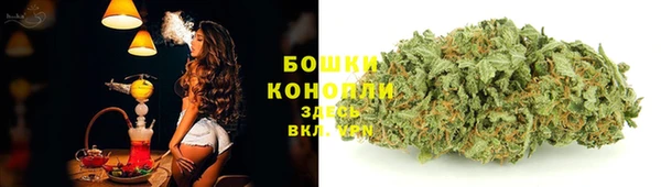 трава Алексин