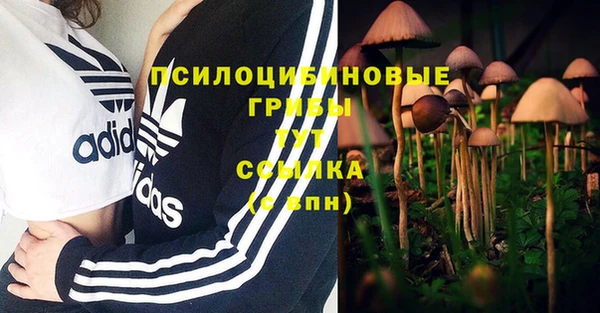 apvp Алексеевка