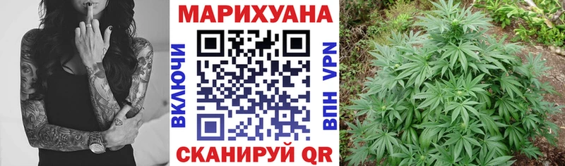 Конопля сатива  продажа наркотиков  блэк спрут ONION  Алексин 